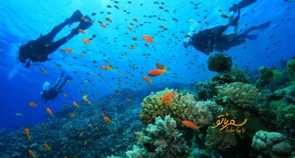 غواصی بدروم یکی از جابه های این شهر است